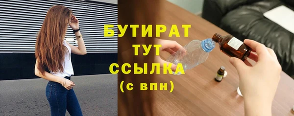 гидра Горняк