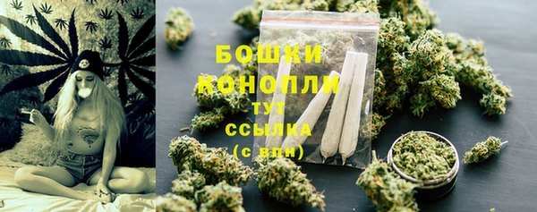 гидра Горняк