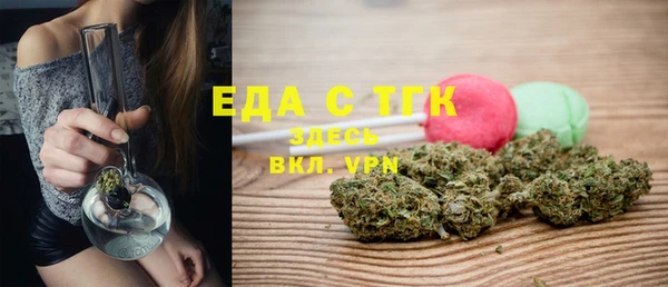 гидра Горняк