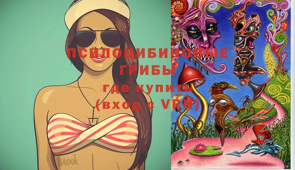 гидра Горняк