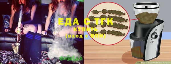 гидра Горняк